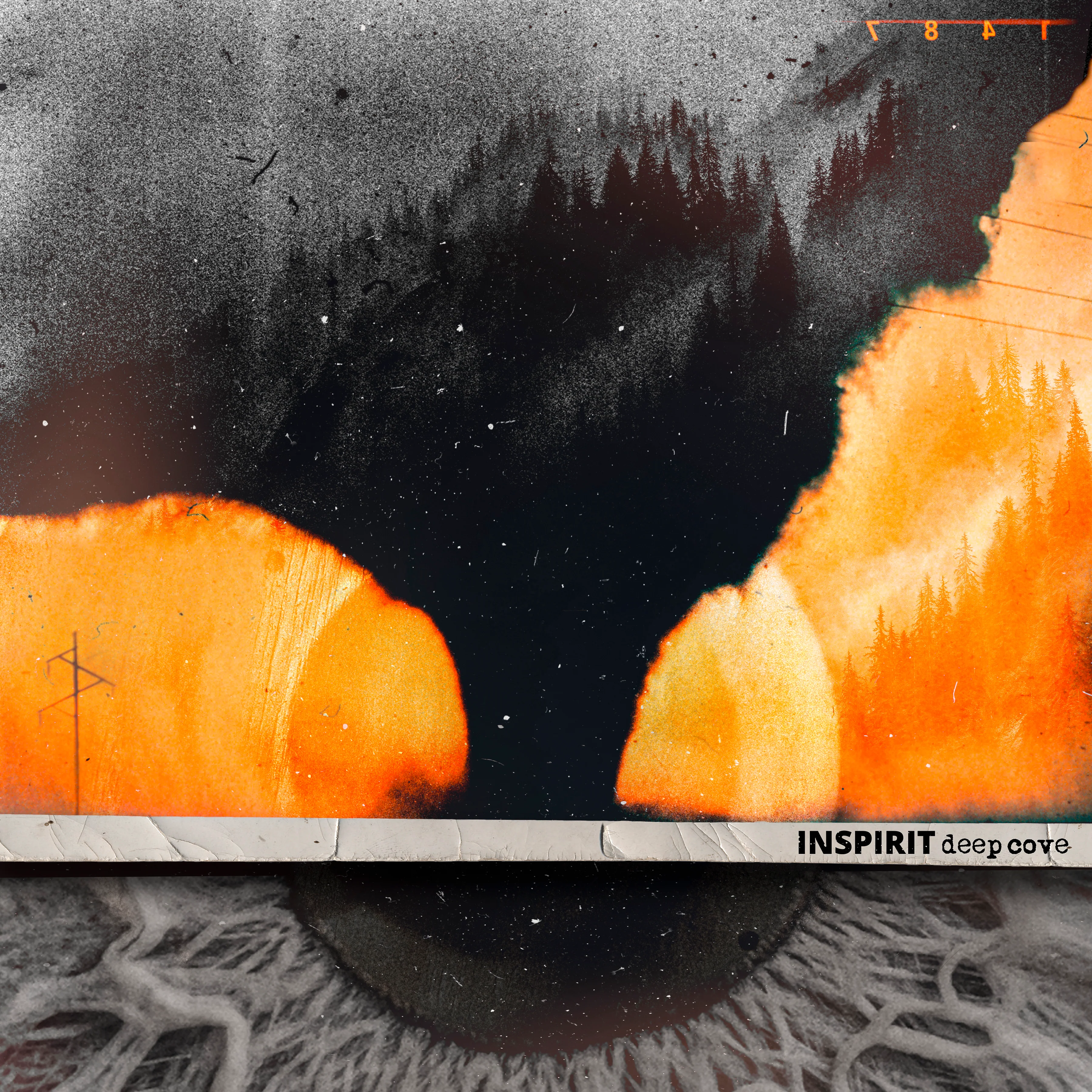 Deep Cove & Fold - Image 2
