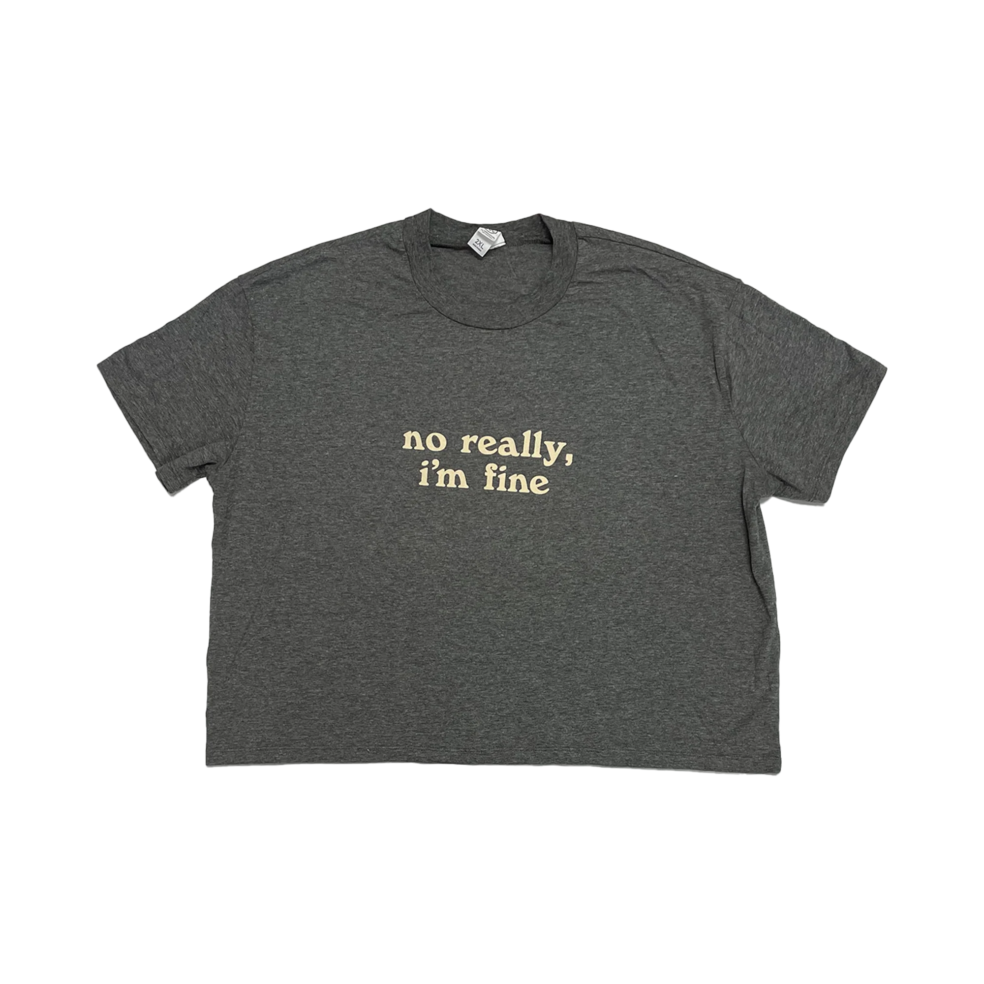 The Spill Canvas - NRIF Crop Top (Dark Grey)