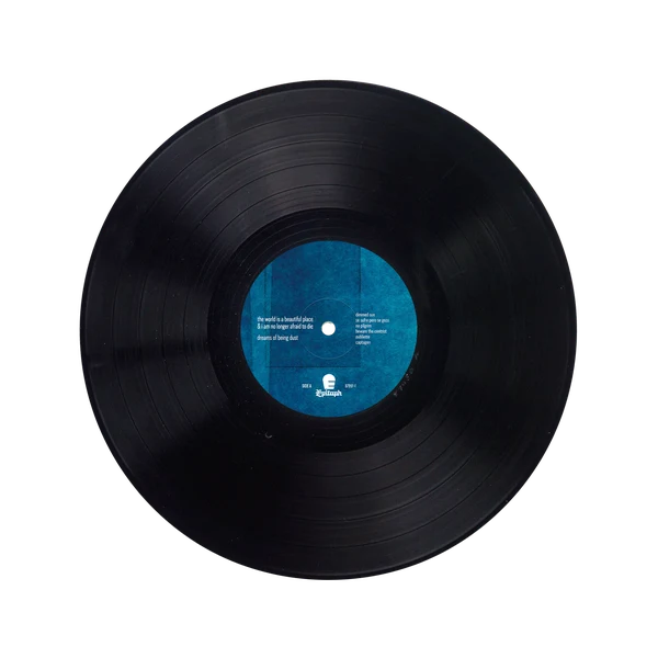 The World Is A Beautiful Place & I Am No Longer Afraid To Die - Dreams of Being Dust Black LP - Image 2